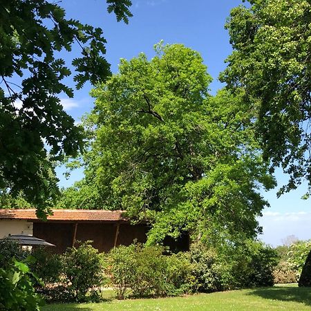 Villa Le Buscagneau à Béraut Extérieur photo
