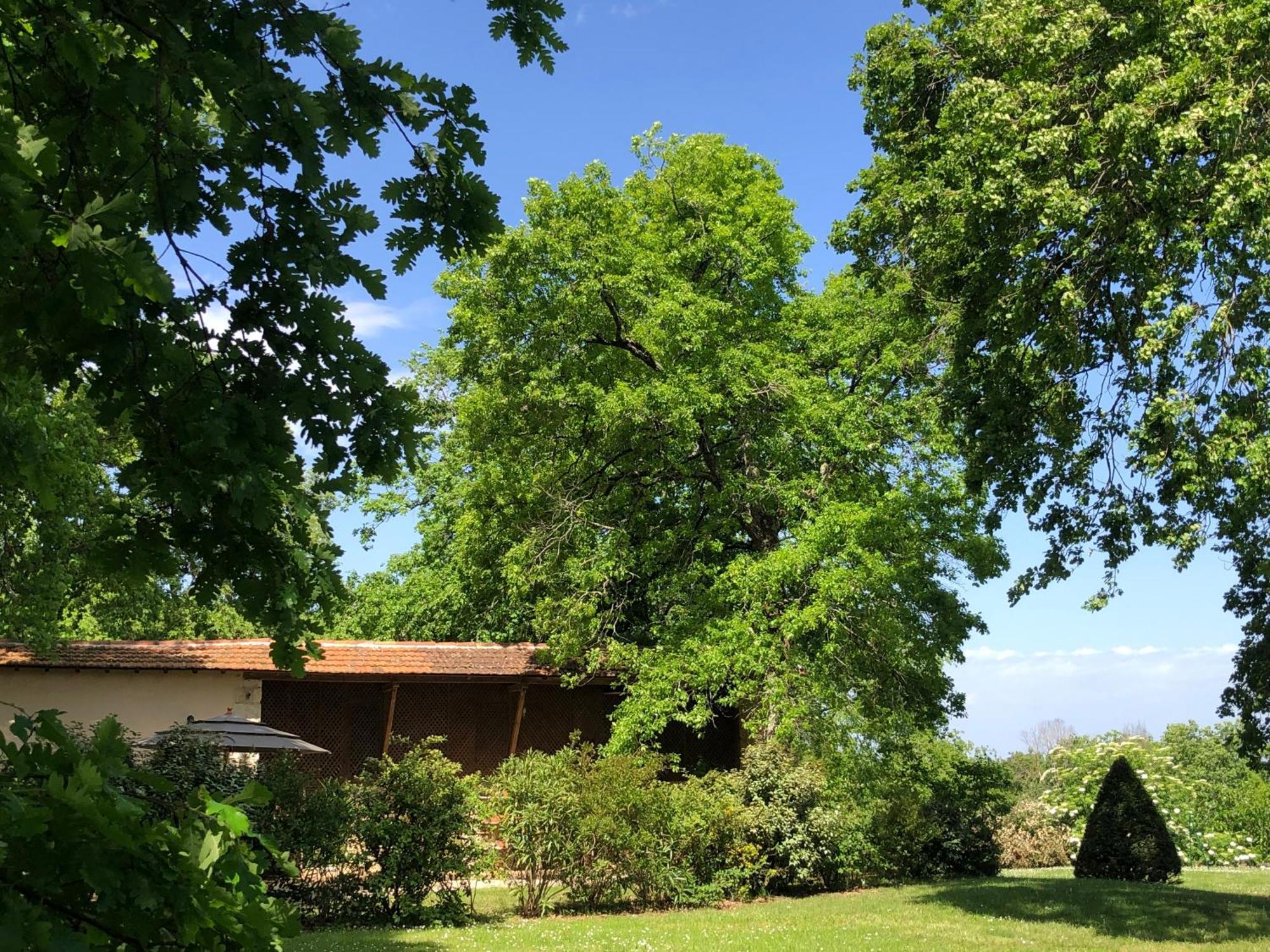 Villa Le Buscagneau à Béraut Extérieur photo